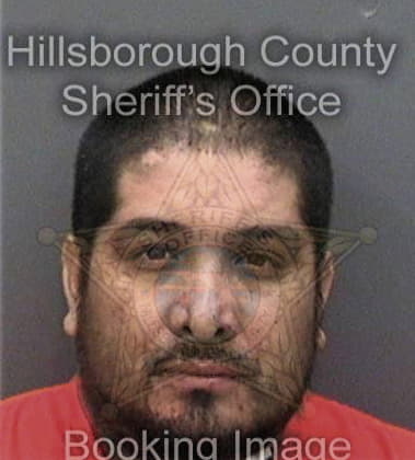 Feiruce Salomon, - Hillsborough County, FL 