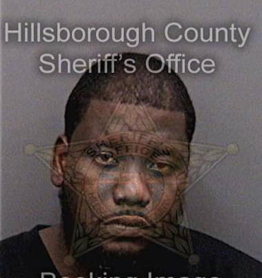 Daniel Singletary, - Hillsborough County, FL 