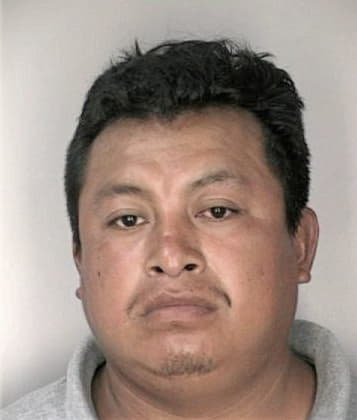 Raymond Acevedorosado, - Hillsborough County, FL 