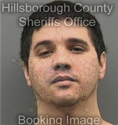 Ahmad Chehab - Hillsborough County, FL 