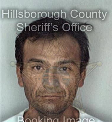 Luis Cruzcornet, - Hillsborough County, FL 