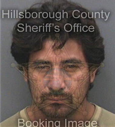 Anthonyjoseph Desantis, - Hillsborough County, FL 