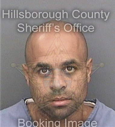 Reginald Johnson, - Hillsborough County, FL 