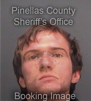 Nenad Pavlenic, - Pinellas County, FL 