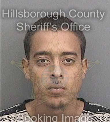 Jesus Reyes, - Hillsborough County, FL 