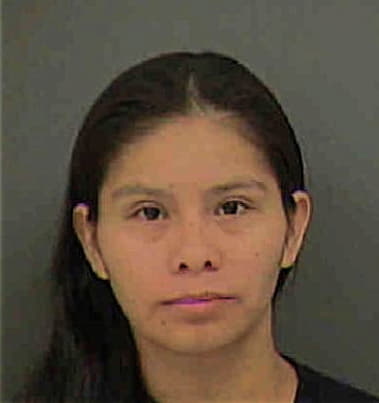 Yvette Suarez, - Mecklenburg County, NC 