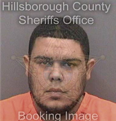 Mario Carter, - Hillsborough County, FL 