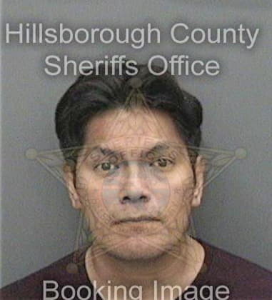 Daniel Lindall, - Hillsborough County, FL 