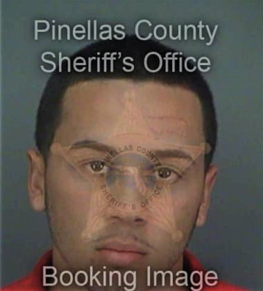 Pedro Ocana, - Pinellas County, FL 