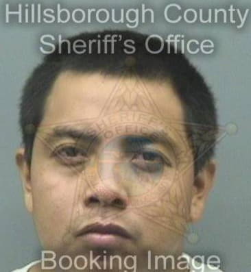 Jose Perez, - Hillsborough County, FL 