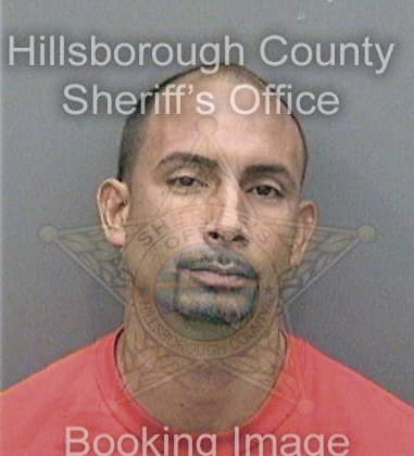 Erick Ruizpena, - Hillsborough County, FL 