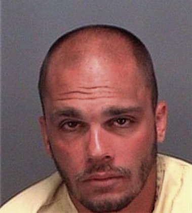 Christopher Viamari, - Pinellas County, FL 