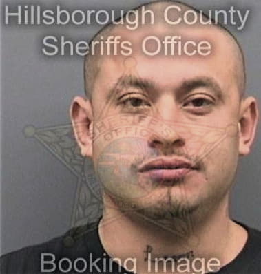 Alex Williams - Hillsborough County, FL 