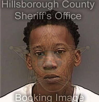 Andraysha Willingham, - Hillsborough County, FL 