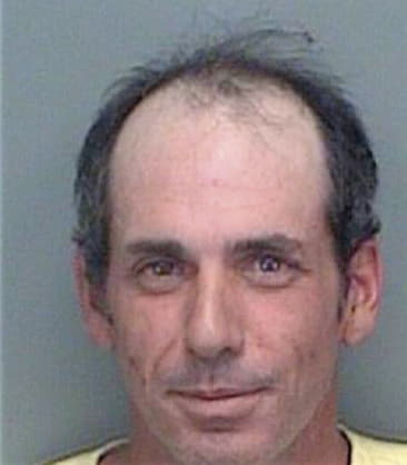 Gregory Auletta, - Pinellas County, FL 