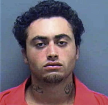 Rony Calmo, - Lee County, FL 