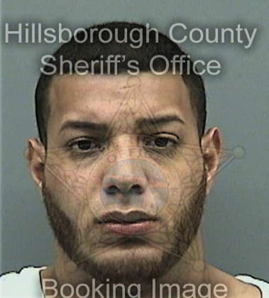 Thomas Cockill - Hillsborough County, FL 