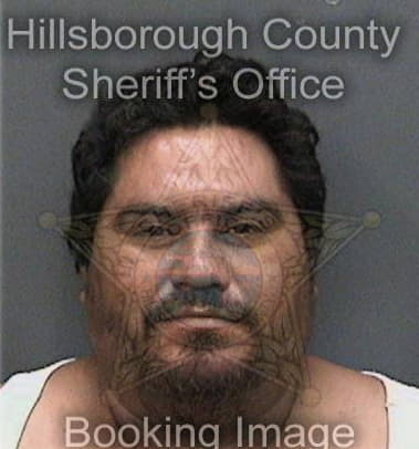 Luis Lopezluna, - Hillsborough County, FL 