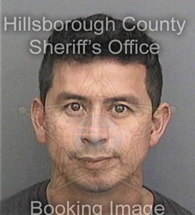 Noe Martinezpizarro, - Hillsborough County, FL 