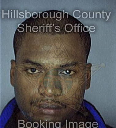 Mark McFarlane - Hillsborough County, FL 