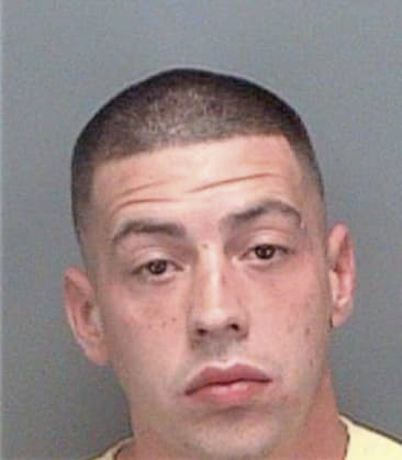 Peter McLaughlin - Pinellas County, FL 