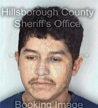 Wayne Blanton - Hillsborough County, FL 