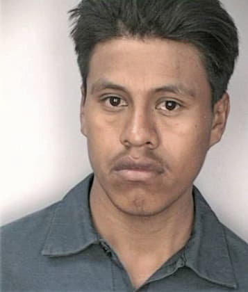 Thomas Bolduc - Hillsborough County, FL 