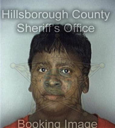 Amy Bridges - Hillsborough County, FL 