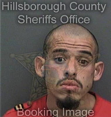 Mervin Matos - Hillsborough County, FL 