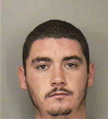 Raul Ramirezavila, - Polk County, FL 