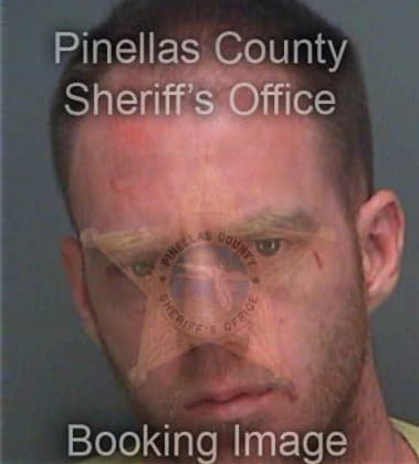 Michael Brenner, - Pinellas County, FL 