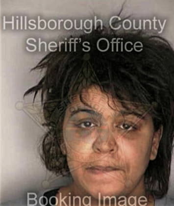Kimberly Briggs - Hillsborough County, FL 