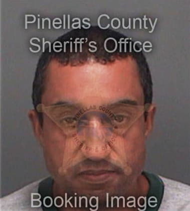 Rajesh Dalloo, - Pinellas County, FL 