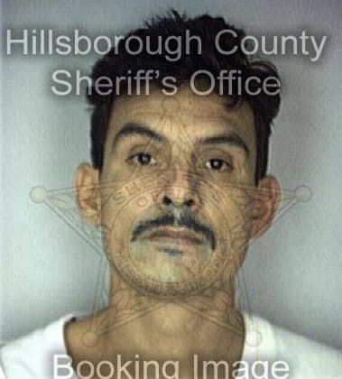 Bradley McCleary - Hillsborough County, FL 