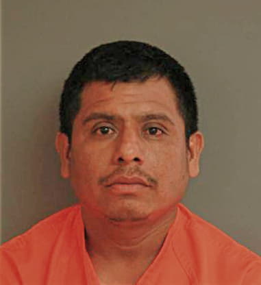 Ignacio Mejia - Polk County, FL 