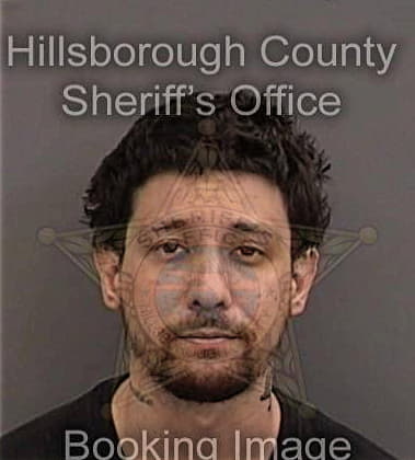 Arman Petrosyan, - Hillsborough County, FL 