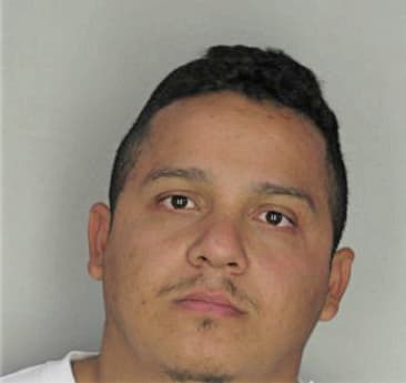 Rafael Rodriguezperez, - Hillsborough County, FL 