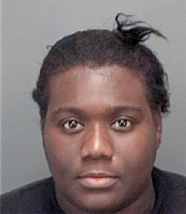 Lori Smith - Pinellas County, FL 