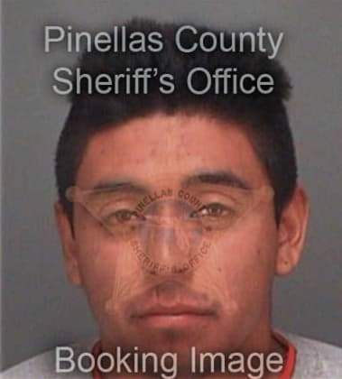 Jaciel Tellezarroyo, - Pinellas County, FL 