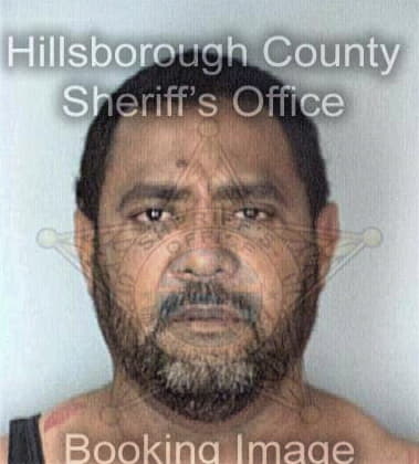 Omar Aldama, - Hillsborough County, FL 