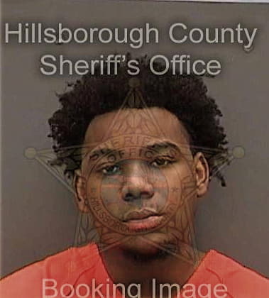 Terrence Bivins - Hillsborough County, FL 