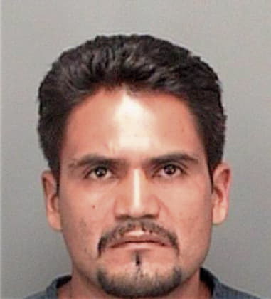 Silvino Castro-Chalchi, - Pinellas County, FL 