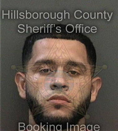 Ivan Chirino - Hillsborough County, FL 