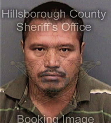 Colton McDowell - Hillsborough County, FL 