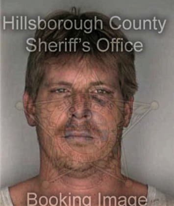David Michel - Hillsborough County, FL 