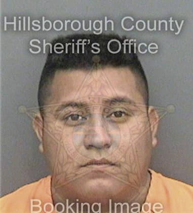 Yazan Rayyan, - Hillsborough County, FL 