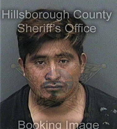 Eduardo Arreagamorales, - Hillsborough County, FL 