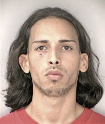 Luis Guzman, - Hillsborough County, FL 