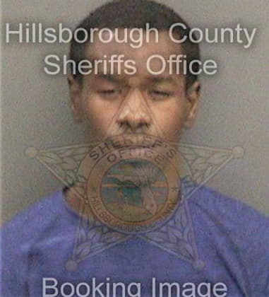 Kenneth Higdon, - Hillsborough County, FL 