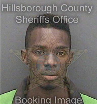 Luis Villanueva-Saez, - Hillsborough County, FL 